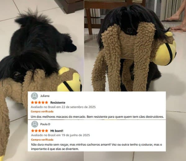 Imagem de Chalesco Brinquedo Macaco Marrom para Cães na loja Amazon