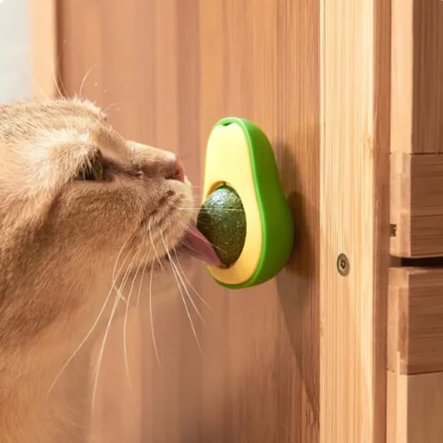 Imagem de Chalesco brinquedo Abacate Com Catnip na loja Amazon